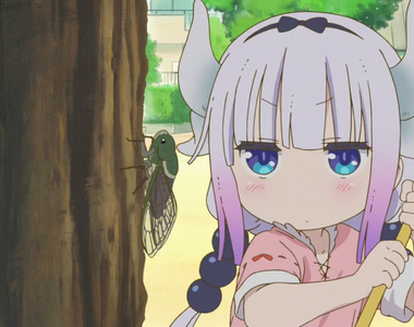 《日本電信歷史冷知識》每逢夏天網路就會離奇大斷線?誰也沒想到是熊蟬繁殖惹的禍