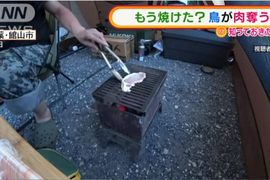 疫情下《一個人露營烤肉》的傻眼〝搶肉事件〞好像也不能向鳥鳥求償吧．．．