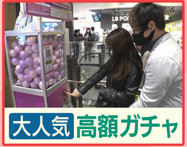 《日本高價轉蛋熱潮》疫情中的報復性消費 為什麼大家搶著花錢購買未知的東西？