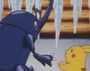 《日本悄悄興起昆蟲葬》昆蟲成了城市人的熱門寵物 每月都有和尚辦法會誦經超渡