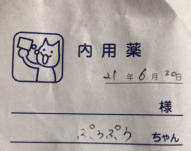 《日本獸醫藥袋》可愛的貓貓吃藥圖案讓網友覺得超可愛