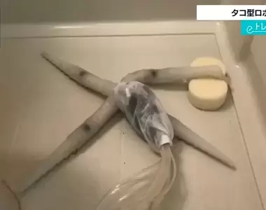 《章魚掃地機器人》蠕動的觸手異形替你打掃浴室 常泡澡的人肯定都想要一隻