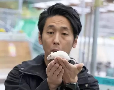 拍攝者不救?《老鼠捕食鴿子影片》也許人類毀滅後老鼠依然能活得很好?