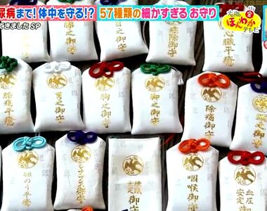 《御守分得比醫院還細的神社》從頭到腳甚至內臟全包了 宮司自己都吐槽似乎不用那麼多