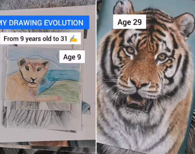 網友分享《9歲到31歲的畫畫進步歷程》一樣是獅子努力下來結果大不同