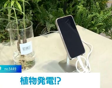 《日本植物發電實驗》替植物澆水還能順便幫手機充電？這個綠能真的有夠綠