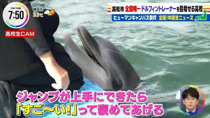 《學當海豚訓練師的高中》日本唯一的超特別科系 學生實習的時候有一件事最苦惱……