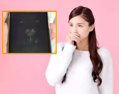 衝擊畫面《哀鳳螢幕故障結果嚇到網友》原本可愛的狗狗變成了嚇人妖怪