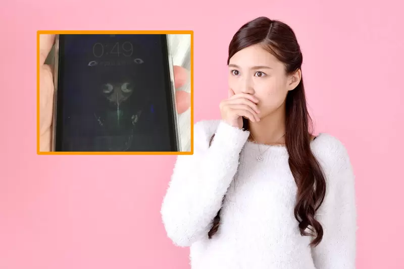 衝擊畫面《哀鳳螢幕故障結果嚇到網友》原本可愛的狗狗變成了嚇人妖怪