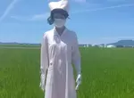 稻田旁驚見《護士稻草人》這絕對是大半夜不想看見的東西 稻田旁驚見《護士稻草人》這絕對是大半夜不想看見的東西