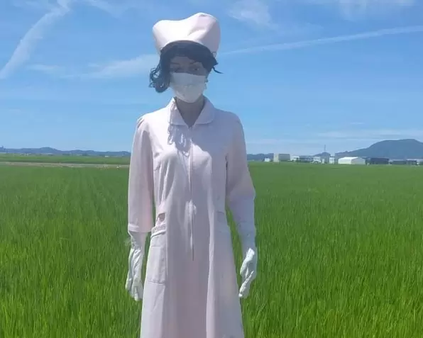 稻田旁驚見《護士稻草人》這絕對是大半夜不想看見的東西 稻田旁驚見《護士稻草人》這絕對是大半夜不想看見的東西