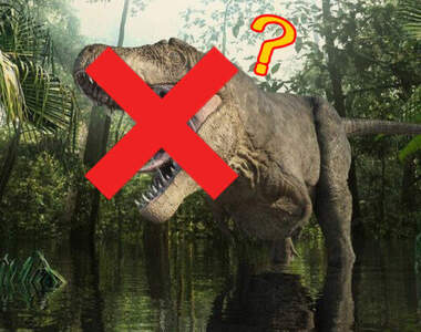 4歲女兒看完侏儸紀世界發想的《恐龍對策》不可以咬咬才是乖乖恐龍