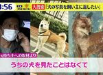 《神秘的柴犬油畫事件》畫布後面赫然發現柴犬照片 日本網友發動大搜索希望還給飼主 《神秘的柴犬油畫事件》畫布後面赫然發現柴犬照片 日本網友發動大搜索希望還給飼主