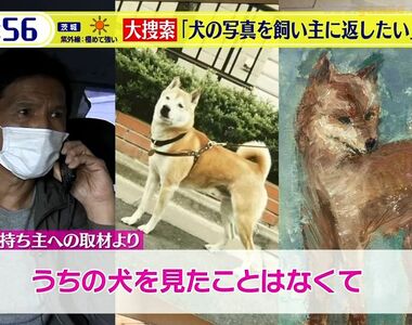 《神秘的柴犬油畫事件》畫布後面赫然發現柴犬照片 日本網友發動大搜索希望還給飼主