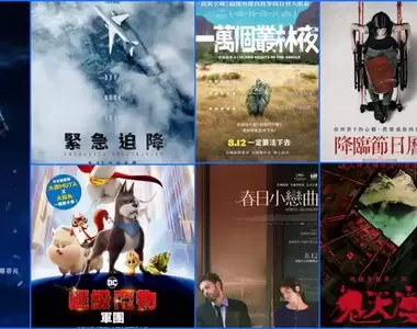 【8月第2週上映電影】動畫片《DC超級寵物軍團》 、喬登‧皮爾《不！》 、李炳憲《緊急迫降》上映