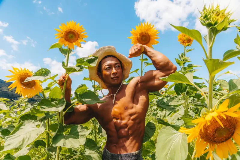 需要度打個問號《免費肌肉男素材》向日葵花海中的玩得很開心的肌肉精靈 需要度打個問號《免費肌肉男素材》向日葵花海中的玩得很開心的肌肉精靈