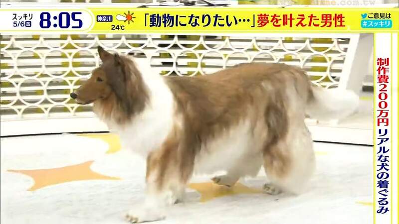 Japanese man spends £12,500 on ultra-realistic dog costume so he can live  like an animal