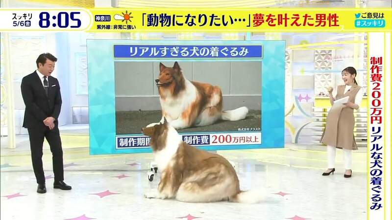 Japanese man spends £12,000 on realistic dog costume so he can