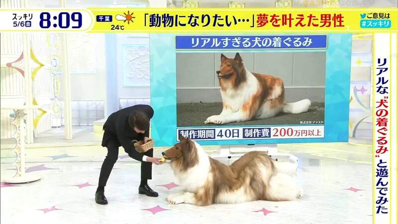 Japanese Man Spends $15,000 on Lifelike Dog Costume