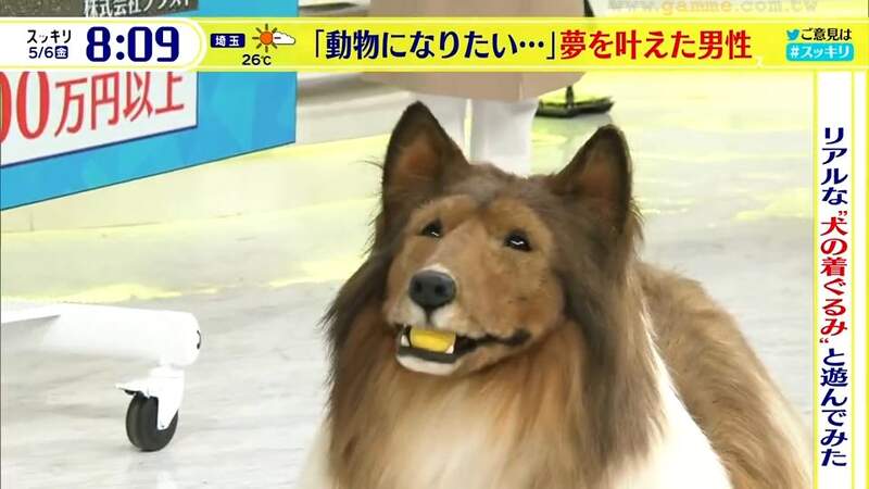 Japanese Man Spends $15,000 on Lifelike Dog Costume