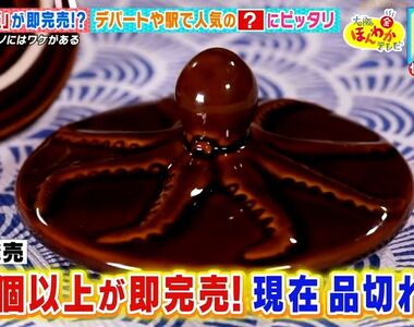 《爆賣10000個的蓋子》日本鐵路便當店單賣蓋子被秒殺 搭配章魚飯陶罐大受歡迎
