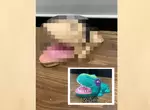 網友改造《咬人鱷魚玩具》奇形種外觀太恐怖,讓你不敢把手手伸進去 網友改造《咬人鱷魚玩具》奇形種外觀太恐怖,讓你不敢把手手伸進去