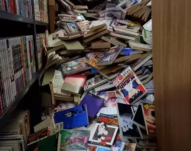 《書房崩壞漫畫收藏家絕望了》千辛萬苦收藏上萬本漫畫 書架撐不住重量倒塌鬧雪崩