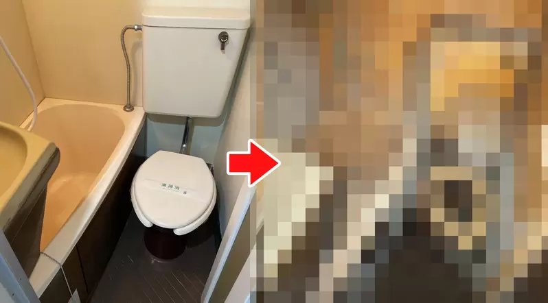 《成為20年垃圾屋的後果》屋內之噁心讓房東傻眼 交給特殊清潔公司包你煥然一新 《成為20年垃圾屋的後果》屋內之噁心讓房東傻眼 交給特殊清潔公司包你煥然一新