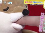 《輕咬手指貓狗娃娃》滿足你想被輕咬的慾望 數十種逼真咬法溫柔又療癒 《輕咬手指貓狗娃娃》滿足你想被輕咬的慾望 數十種逼真咬法溫柔又療癒