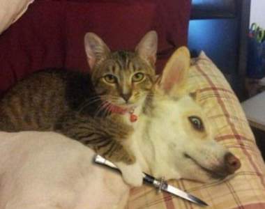 令人不安《感覺被詛咒的網路照片》看完可能會嚴重影響你心情,慎入