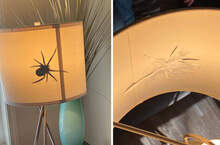 網友分享《孩子們做過的那些惡作劇》這隻大蜘蛛差一點就把馬麻嚇死了