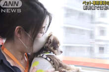 日本試營運《寵物專用新幹線車廂》首次嘗試讓乘客抱著毛孩一同搭車體驗樂趣