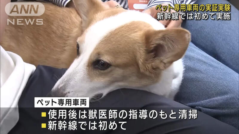 日本試營運 寵物專用新幹線車廂 首次嘗試讓乘客抱著毛孩一同搭車體驗樂趣