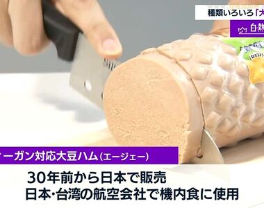 《日本大豆食品熱潮》台灣素肉產品打進日本市場 10大暢銷產品你最想吃哪一款?