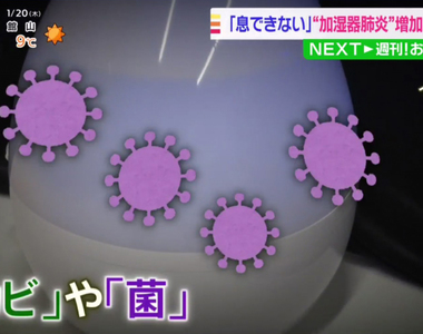 《日本網友染上加濕器肺炎》沒有頻繁換水超危險 加錯水也會變成細菌的溫床