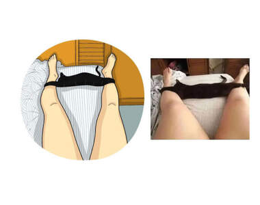 貓貓插畫家作品《二創網路貓圖》你以為是內褲嗎？那其實是一隻黑貓趴著喔XD