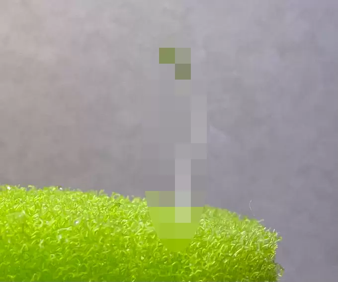 網友分享《家中發芽的海綿》電影沒唬爛!生命真的會自己找到出路 網友分享《家中發芽的海綿》電影沒唬爛!生命真的會自己找到出路