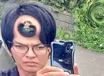 《用反射鏡玩自拍爆紅的人》發掘潛藏其中的藝術潛力 原來梵谷就是這樣畫出星夜的 《用反射鏡玩自拍爆紅的人》發掘潛藏其中的藝術潛力 原來梵谷就是這樣畫出星夜的