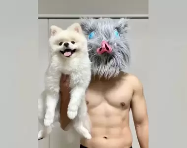 展示500天運動成果的《健腹輪推主》已經有像伊之助那樣強壯的身體惹