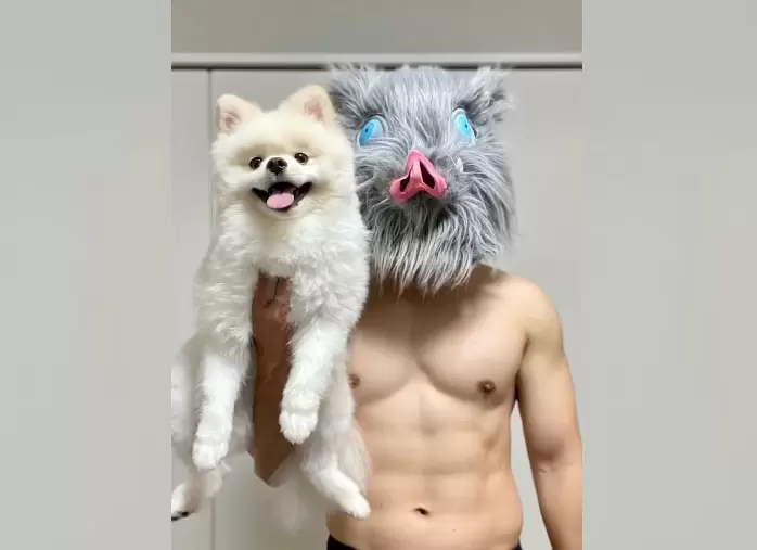 展示500天運動成果的《健腹輪推主》已經有像伊之助那樣強壯的身體惹