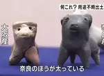 《日本神秘古文物展覽》考古學家也不知道這些東西是什麼 公開徵求民眾的創意想法 《日本神秘古文物展覽》考古學家也不知道這些東西是什麼 公開徵求民眾的創意想法