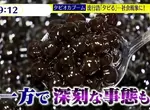 《日本珍珠奶茶熱潮的現在》店家倒光光產量大跌70% 愛好者預言疫情趨緩可望再流行? 《日本珍珠奶茶熱潮的現在》店家倒光光產量大跌70% 愛好者預言疫情趨緩可望再流行?