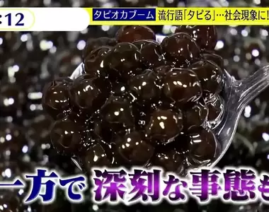 《日本珍珠奶茶熱潮的現在》店家倒光光產量大跌70% 愛好者預言疫情趨緩可望再流行?