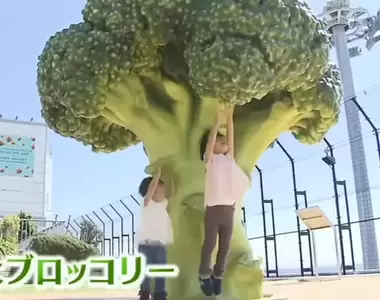 《日本神戶機場新景點》屋頂冒出一棵巨大青花菜 讓觀光客體驗縮小的感覺