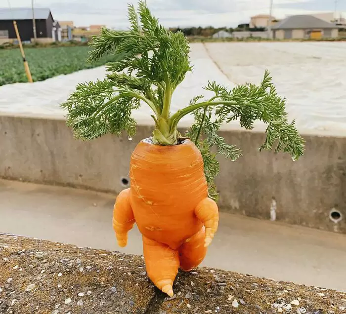 網路上那些《網友認為最完美的畫面》這種一瞬間的滿足感~舒服❤