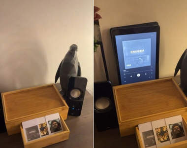 網友發明《卡片音樂播歌機》成熟的朋友就是喜歡這種放唱片的感覺