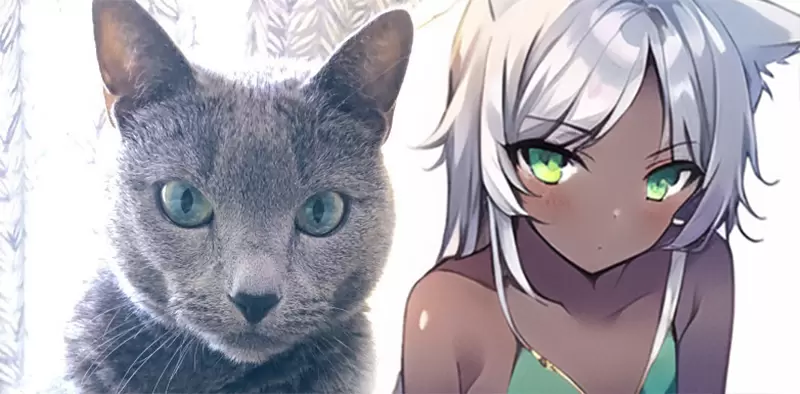 《繪畫ＡＩ可以這樣玩》１秒讓愛貓化身性感貓娘 原來ＡＩ是用這種眼光看待你家的貓……