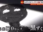 《目擊者畫出偷車賊》從頭到腳都是一身黑 這是外星人還是柯南的犯人? 《目擊者畫出偷車賊》從頭到腳都是一身黑 這是外星人還是柯南的犯人?