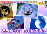 《簡易「宙玉」製作法》這些神奇照片是怎麼拍的?攝影師教你廢物利用打造特殊效果 《簡易「宙玉」製作法》這些神奇照片是怎麼拍的?攝影師教你廢物利用打造特殊效果
