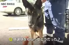 《警犬找到失蹤老人獲獎》記者問拿到感謝狀的感想是什麼？看牠可愛網友們就不吐槽了